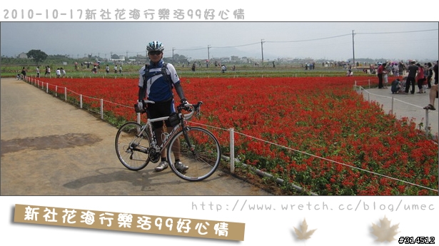 2010-10-17新社花海行樂活99好心情(台北有花博台中有花海)