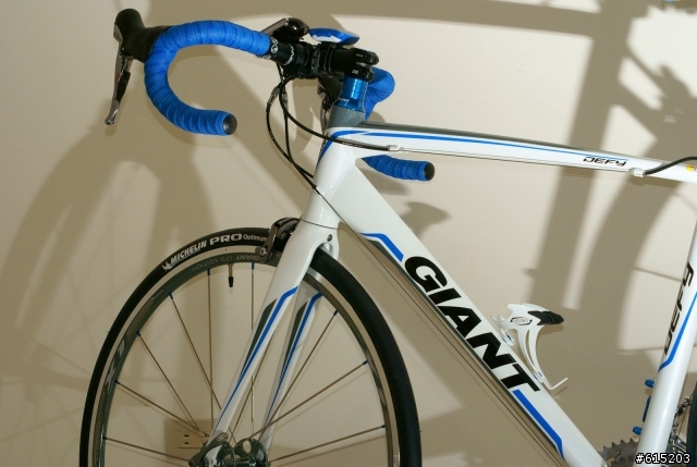 (分享)2011 Giant DEFY 1 入庫