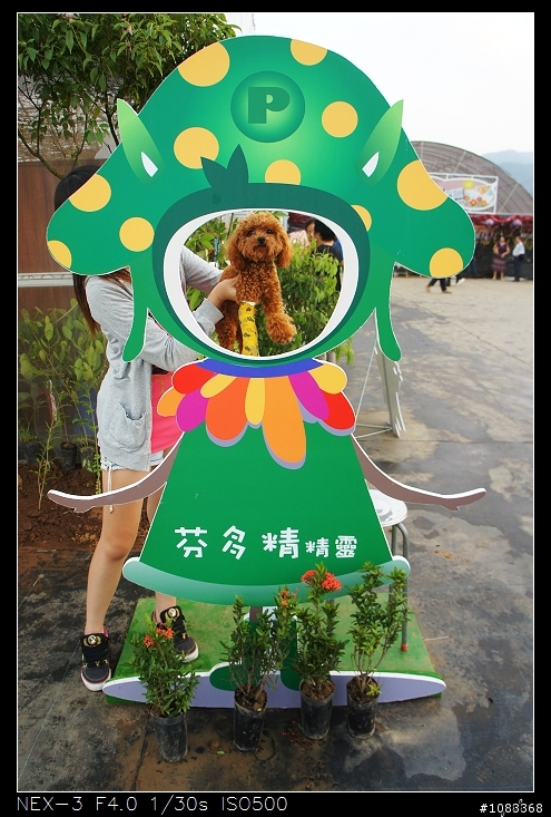 NEX-3安妮公主花園+花海+彩繪村