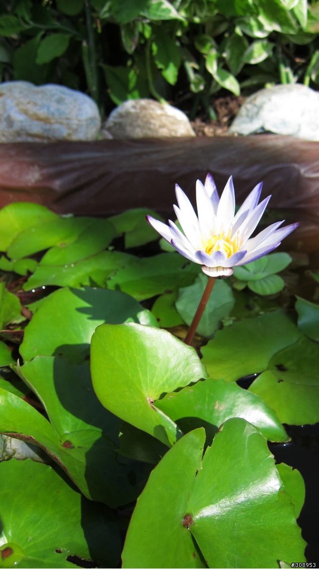 CANON S95 開箱 ! (新增2010.10.31 照片)