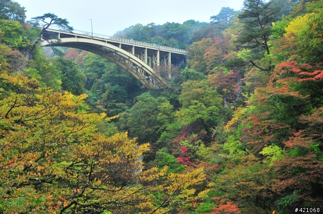 東北有三寶 --『紅葉、溫泉、吃到飽』