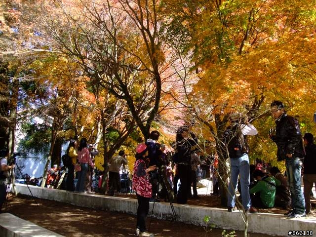【11/19~21】一豎全制霸~從阿里山到太平山(圖爆多)