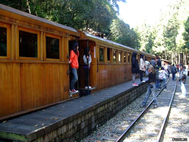 【11/19~21】一豎全制霸~從阿里山到太平山(圖爆多)