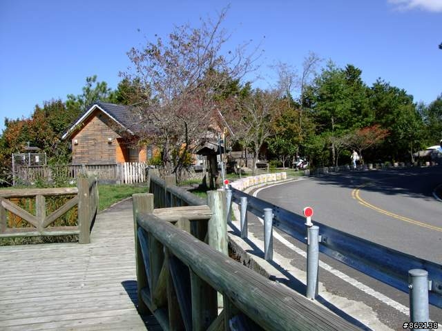 【11/19~21】一豎全制霸~從阿里山到太平山(圖爆多)