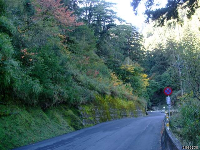 【11/19~21】一豎全制霸~從阿里山到太平山(圖爆多)