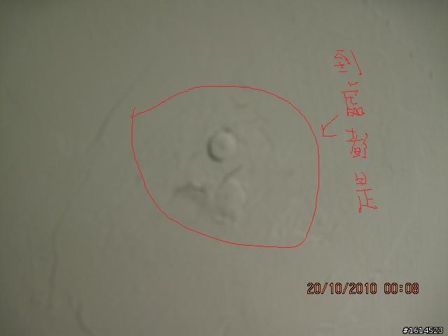 我的裝潢受騙史(文長)--11/15更新(有圖有真相)
