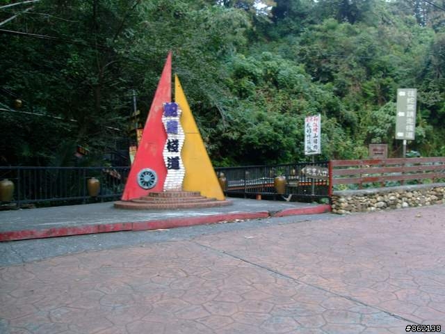 【11/19~21】一豎全制霸~從阿里山到太平山(圖爆多)