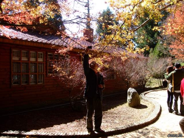 【11/19~21】一豎全制霸~從阿里山到太平山(圖爆多)