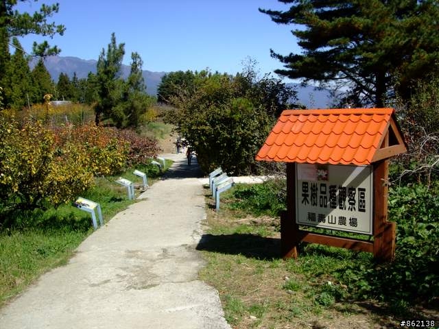 【11/19~21】一豎全制霸~從阿里山到太平山(圖爆多)