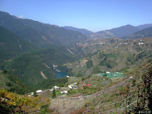 【11/19~21】一豎全制霸~從阿里山到太平山(圖爆多)