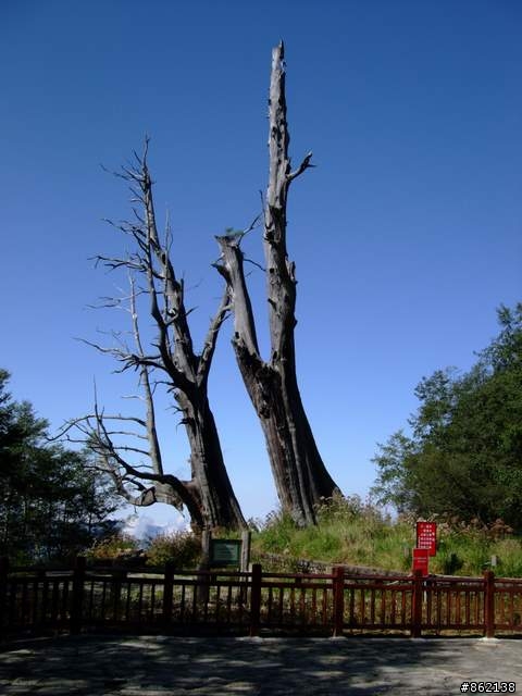 【11/19~21】一豎全制霸~從阿里山到太平山(圖爆多)