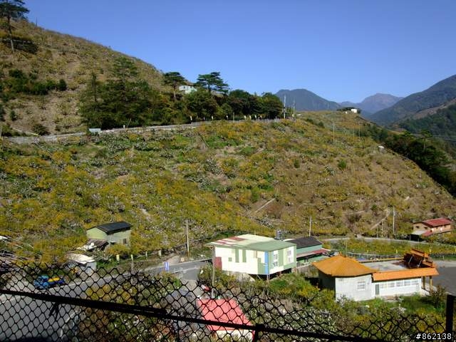 【11/19~21】一豎全制霸~從阿里山到太平山(圖爆多)