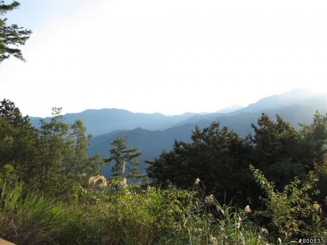 ~三天兩夜~兩座百嶽步道行(圖多...已更新第3天完全)