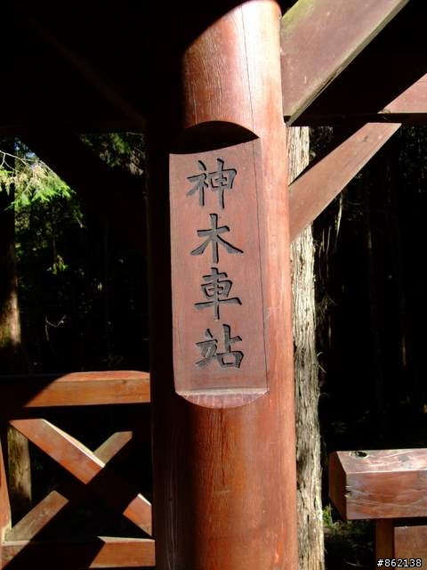 【11/19~21】一豎全制霸~從阿里山到太平山(圖爆多)