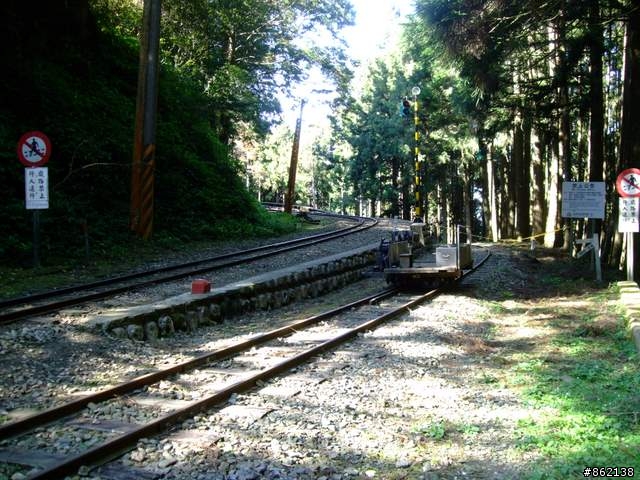 【11/19~21】一豎全制霸~從阿里山到太平山(圖爆多)