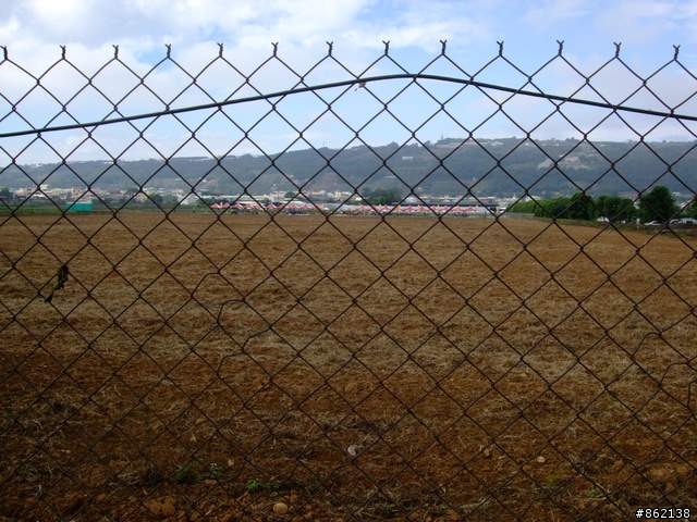 【11/19~21】一豎全制霸~從阿里山到太平山(圖爆多)