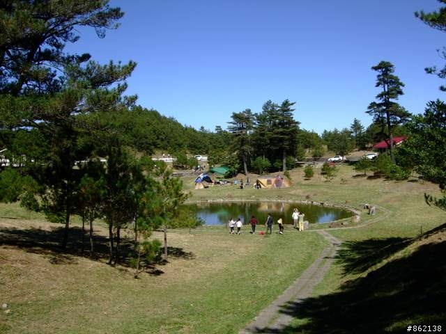 【11/19~21】一豎全制霸~從阿里山到太平山(圖爆多)