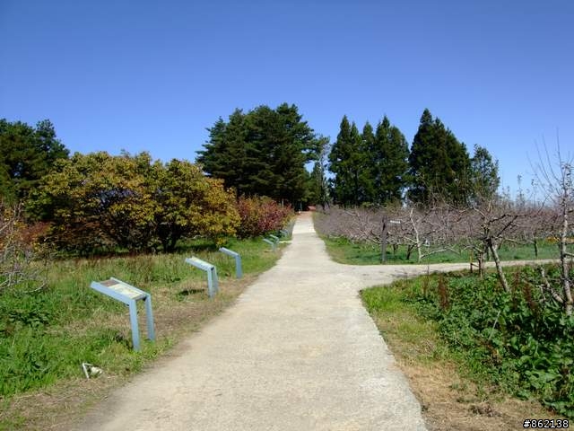 【11/19~21】一豎全制霸~從阿里山到太平山(圖爆多)