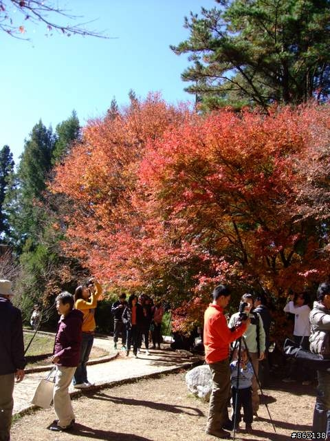 【11/19~21】一豎全制霸~從阿里山到太平山(圖爆多)