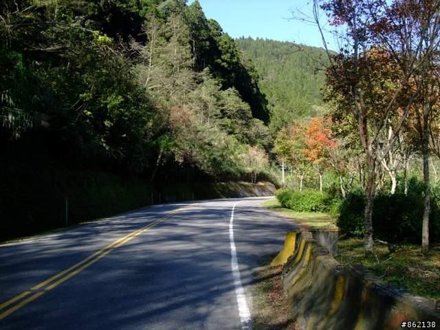 【11/19~21】一豎全制霸~從阿里山到太平山(圖爆多)