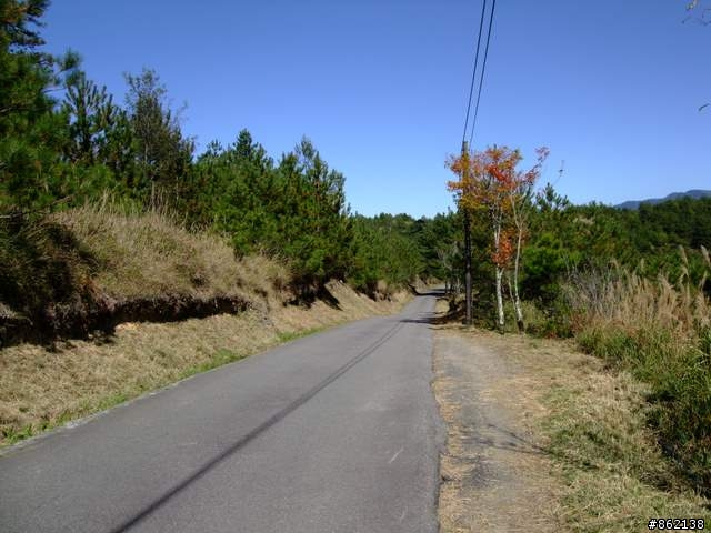【11/19~21】一豎全制霸~從阿里山到太平山(圖爆多)
