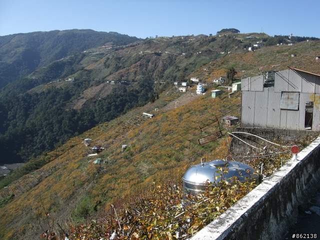 【11/19~21】一豎全制霸~從阿里山到太平山(圖爆多)