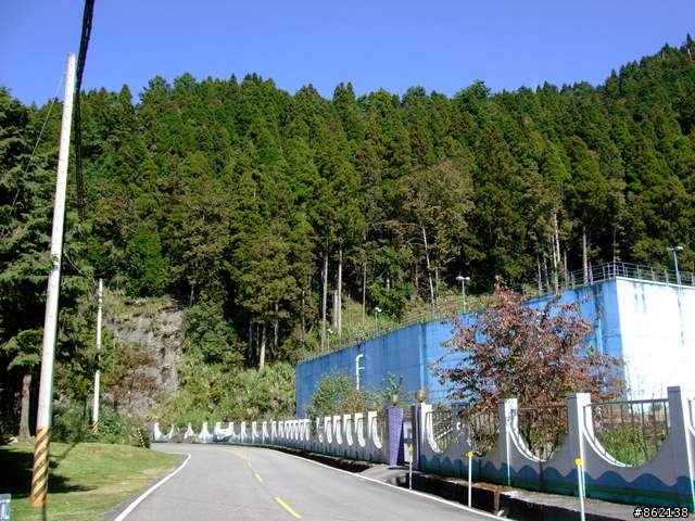 【11/19~21】一豎全制霸~從阿里山到太平山(圖爆多)