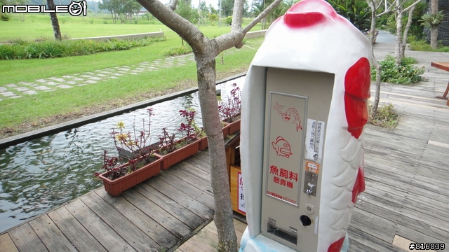 小惡魔in台東鹿鳴溫泉酒店