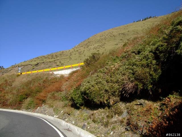 【11/19~21】一豎全制霸~從阿里山到太平山(圖爆多)