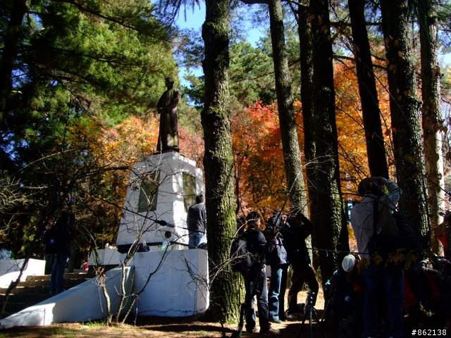 【11/19~21】一豎全制霸~從阿里山到太平山(圖爆多)
