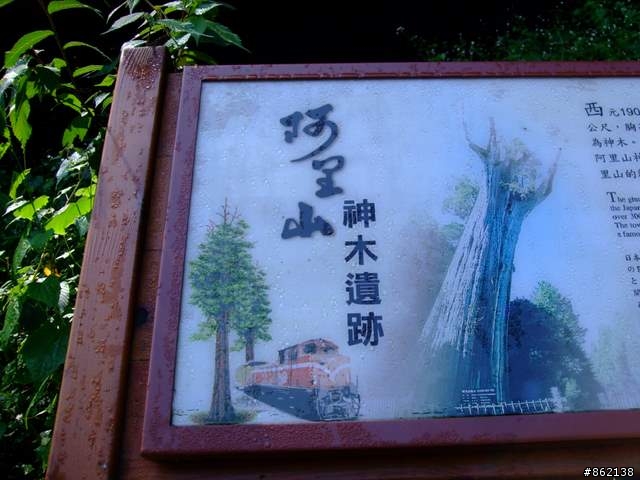 【11/19~21】一豎全制霸~從阿里山到太平山(圖爆多)