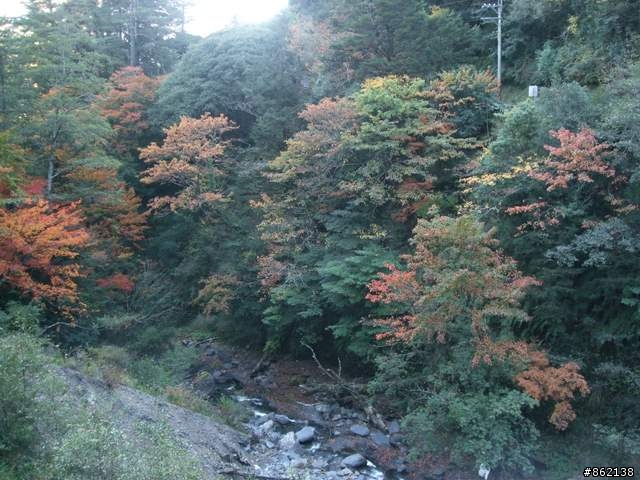 【11/19~21】一豎全制霸~從阿里山到太平山(圖爆多)