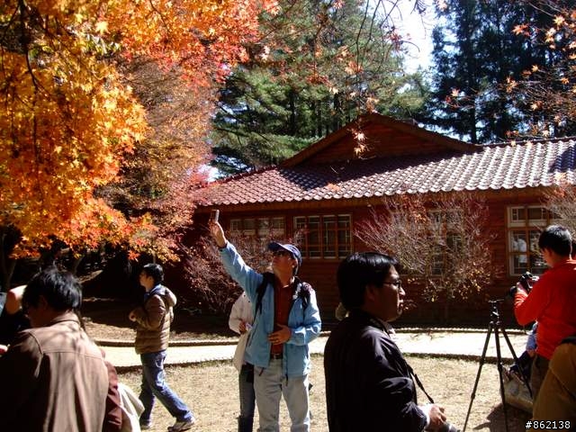 【11/19~21】一豎全制霸~從阿里山到太平山(圖爆多)