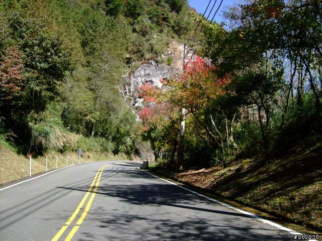 【11/19~21】一豎全制霸~從阿里山到太平山(圖爆多)