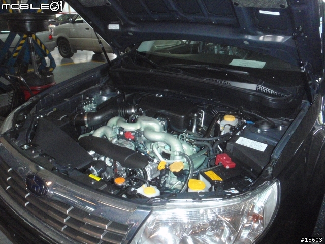 Subaru Forester2.0X 新人報到