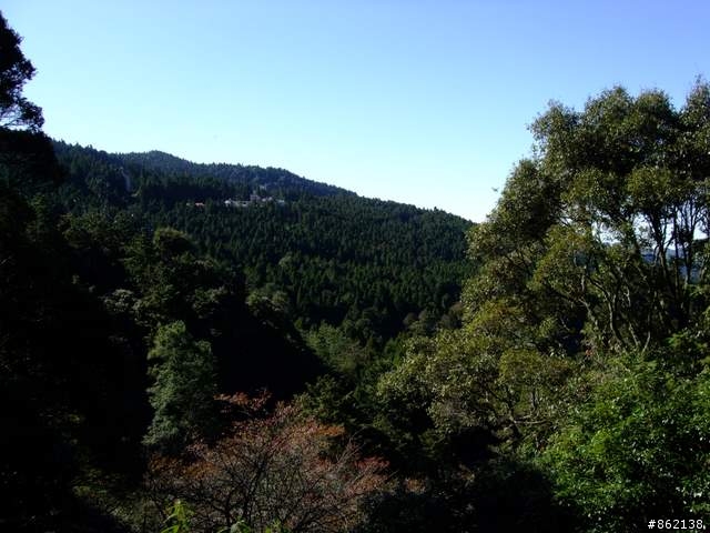 【11/19~21】一豎全制霸~從阿里山到太平山(圖爆多)