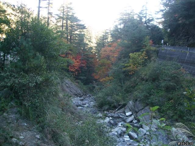 【11/19~21】一豎全制霸~從阿里山到太平山(圖爆多)