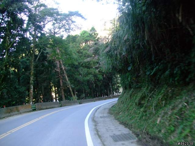 【11/19~21】一豎全制霸~從阿里山到太平山(圖爆多)