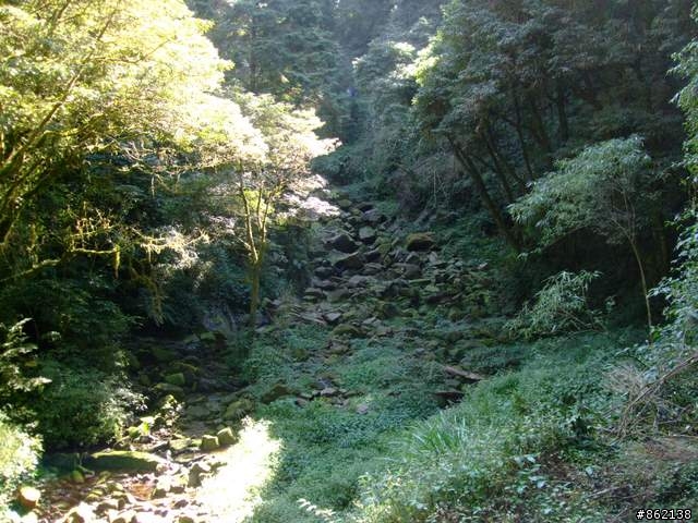 【11/19~21】一豎全制霸~從阿里山到太平山(圖爆多)