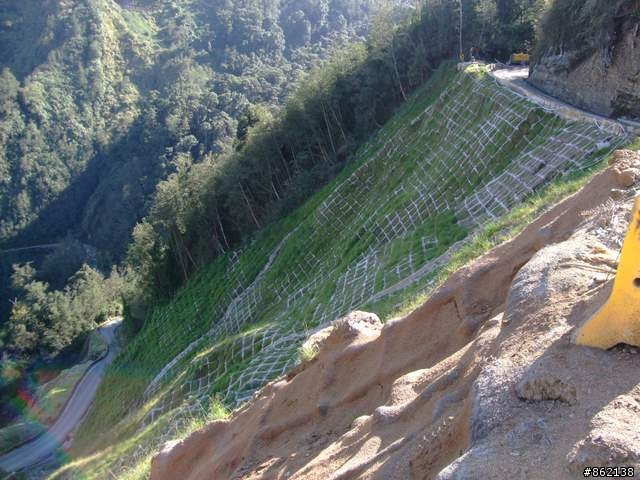 【11/19~21】一豎全制霸~從阿里山到太平山(圖爆多)