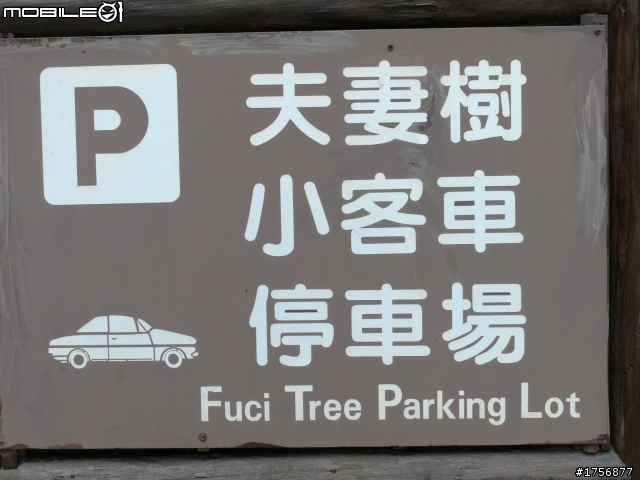 【圖文分享】我活著回來了_即使是摔斷肋骨、爆裂脾臟也要去的旅程(台21線全征服+滿州夜奔台200線+南迴+台東花蓮)