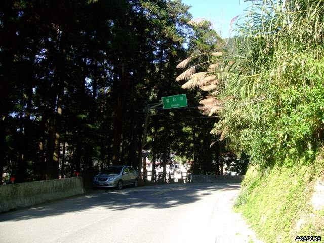 【11/19~21】一豎全制霸~從阿里山到太平山(圖爆多)