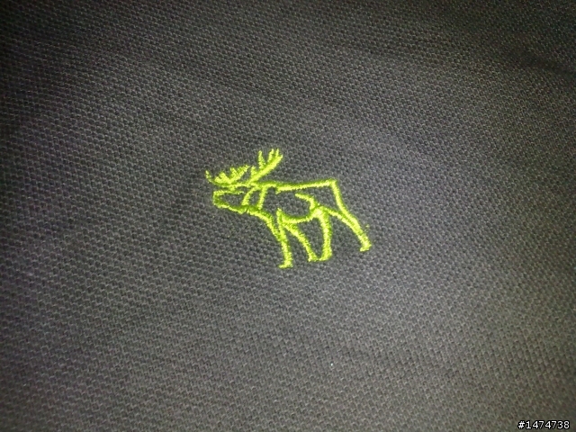 A&F polo T 分享