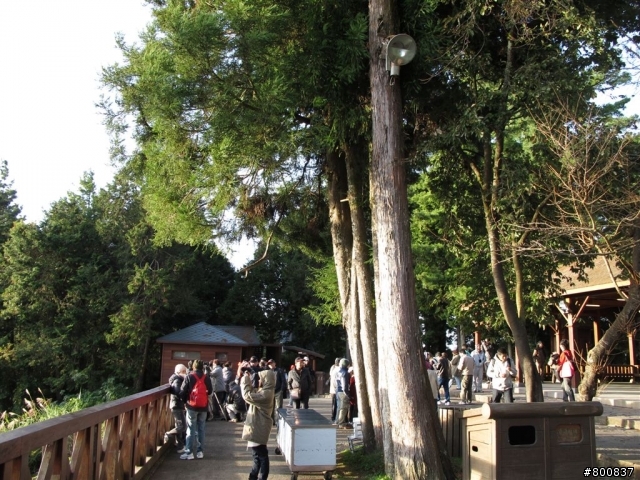 ~三天兩夜~兩座百嶽步道行(圖多...已更新第3天完全)