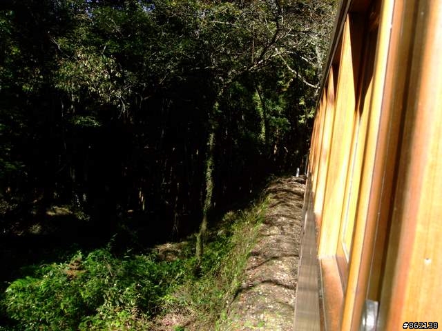 【11/19~21】一豎全制霸~從阿里山到太平山(圖爆多)