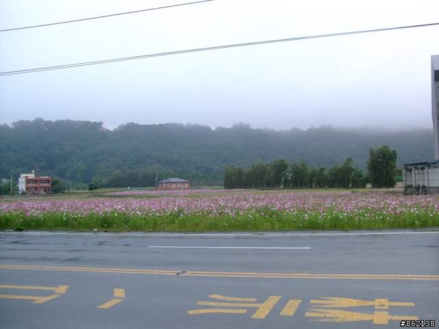【11/19~21】一豎全制霸~從阿里山到太平山(圖爆多)