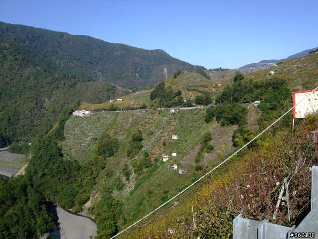 【11/19~21】一豎全制霸~從阿里山到太平山(圖爆多)