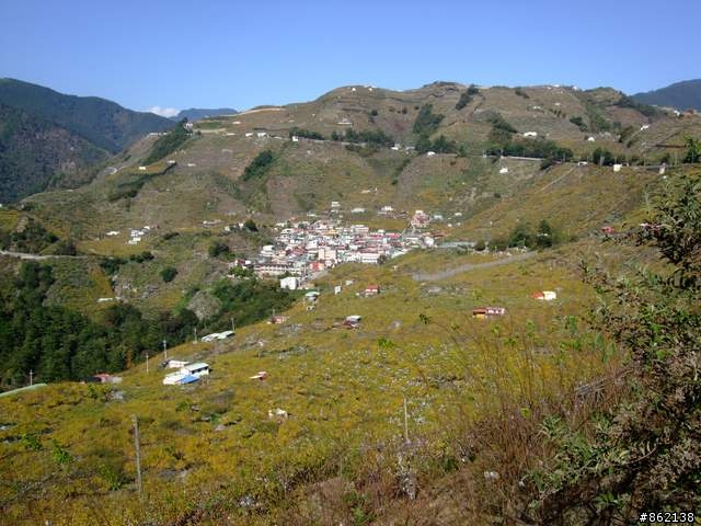 【11/19~21】一豎全制霸~從阿里山到太平山(圖爆多)