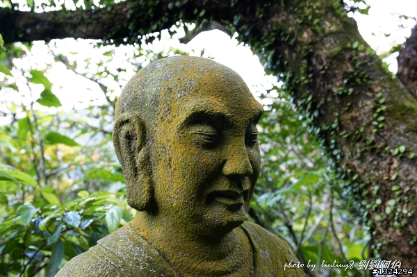 古道芒花入寒意、燈塔天眼通佛門-草嶺古道芒花季、三貂角燈塔、靈鳩山