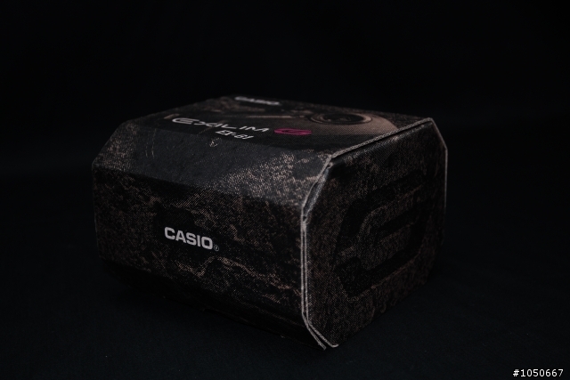 非專業開箱文~Casio EX-G1 防水防振相機